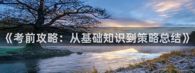 纵横中文网和纵横小说：《考前攻略：从基础知识到策略总结》